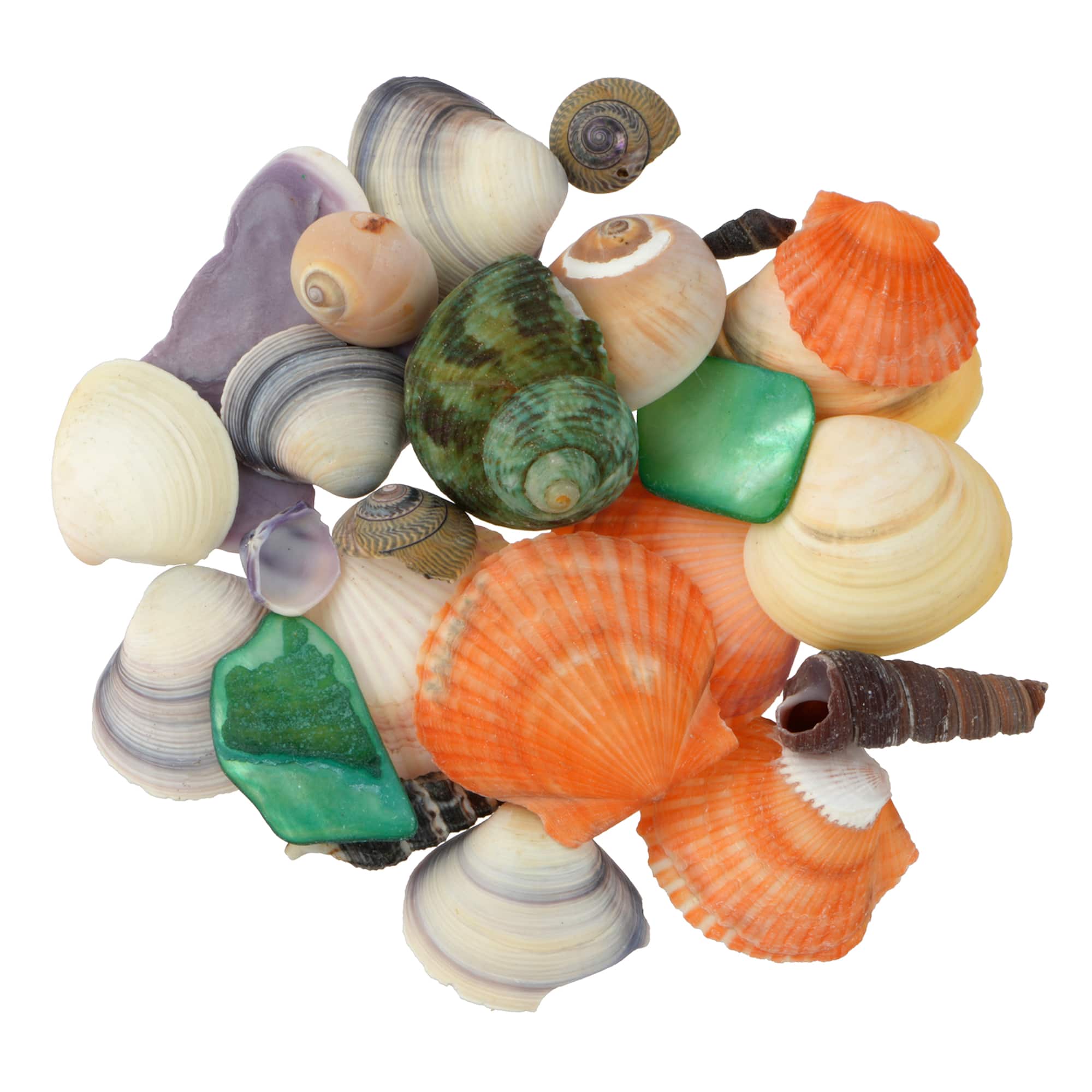 3.5oz. Dyed & Natural Shell Mix by Ashland®